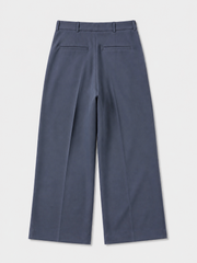 Frame Pleated Trouser — back garment view